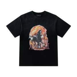 Picture of Amiri T Shirts Short _SKUAmiriS-XL19stx808223793